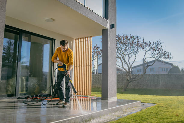 Best Pre-Holiday Cleaning  in Cedaredge, CO